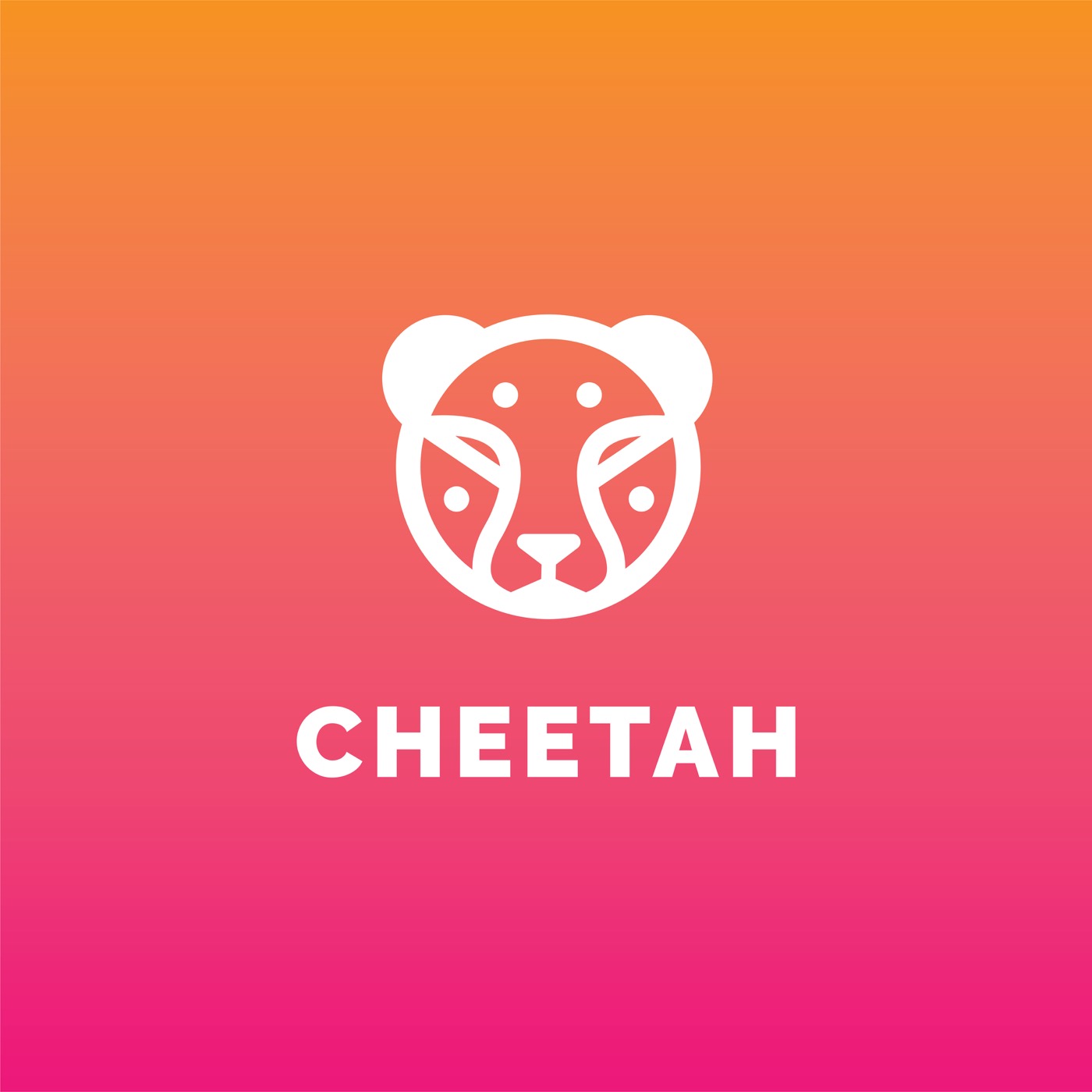 Cheetah logo on gradient background